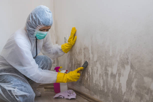 Best Crawl Space Mold Removal  in Purcell, OK