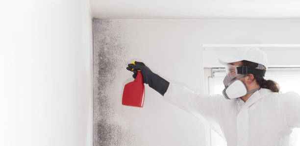 Best Mold Testing  in Purcell, OK