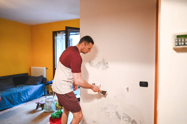 Best Toxic Mold Removal  in Purcell, OK