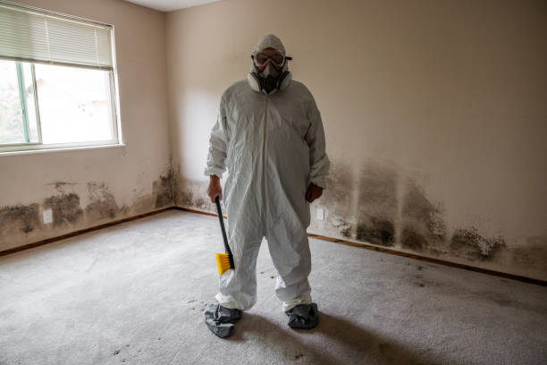 Best Mold Testing  in Purcell, OK