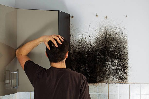 Best Emergency Mold Removal  in Purcell, OK